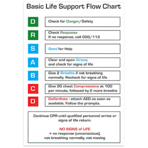 AEROGUIDE CPR Flow Chart Card 10 x 14cm Customers also search for:  FLP401